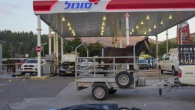 Photo of مخاوف إسرائيلية من العمليات الفردية في الضفة… وانقسام بشأن الهجوم الواسع