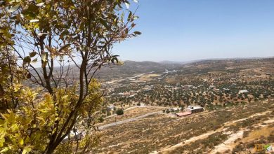 Photo of وثائق مسربة: الاحتلال سمّم أراضي قرية عقربا عام 1972 بهدف تهجير سكانها