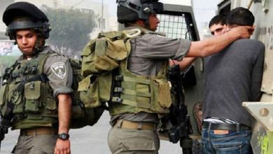 Photo of حصيلة: الاحتلال يعتقل 291 مواطنًا من جنين منذ مطلع 2023