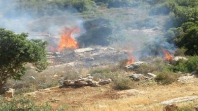 Photo of مستوطنون يحرقون أراض زراعية في بورين