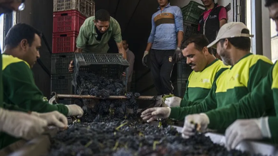 Photo of 12 صناعة رئيسية من المحتمل أن تتوقف بحلول عام 2030