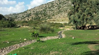 Photo of وادي قانا.. محمية طبيعية تصارع “غول” الاستيطان