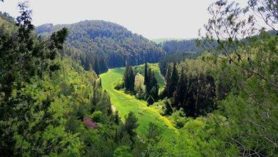 Photo of حالة الطقس: انخفاض طفيف في درجات الحرارة