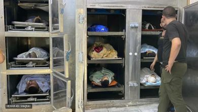 Photo of “التربية والتعليم” الفلسطينية تنعى 3 شهداء من طلابها في جنين