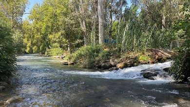 Photo of حالة الطقس: أجواء حارة