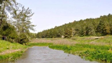 Photo of حالة الطقس: انخفاض في درجات الحرارة.. يحتمل أمطار محلية في شمالي البلد ووسطها