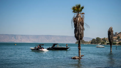 Photo of حالة الطقس: اشتداد موجة الحر