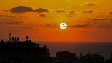 Photo of حالة الطقس: استمرار موجة الحر الشديد