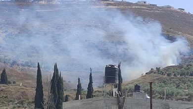 Photo of مستوطنون يحرقون عشرات أشجار الزيتون جنوب نابلس