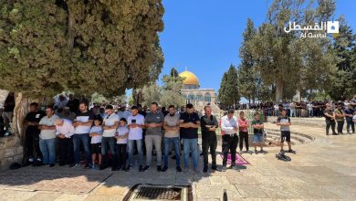 Photo of 50 ألفًا أدوا صلاة الجمعة في المسجد الأقصى