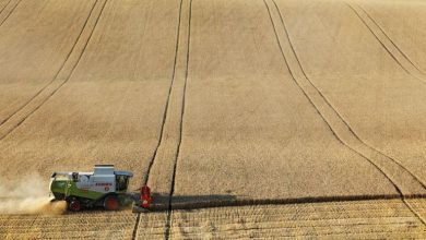 Photo of كيف أثر انسحاب روسيا من اتفاقية الحبوب على مؤشر أسعار الغذاء العالمي؟