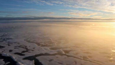 Photo of دراسة: تلوث الهواء أكبر تهديد لصحة الإنسان