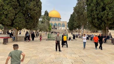 Photo of حالة الطقس: موجة الحر تضعف قليلا