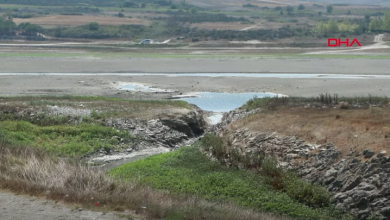 Photo of انخفاض خطير بمنسوب المياه في سدود إسطنبول.. “الجفاف على الأبواب” (شاهد)