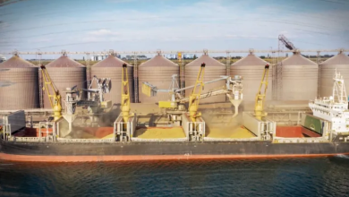 Photo of 6 بلدان قد تعاني نقص القمح.. كيف يؤثر انهيار اتفاق الحبوب على البلدان العربية؟