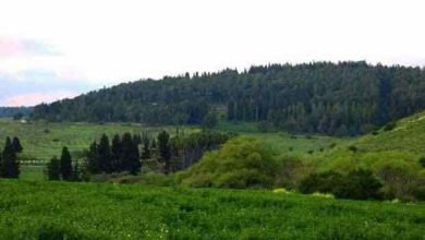 Photo of حالة الطقس: أجواء شديدة الحرارة