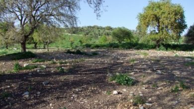 Photo of حالة الطقس: انخفاض طفيف في درجات الحرارة