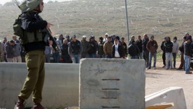 Photo of الاحتلال يعتدي على العمال قرب قلقيلية