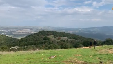 Photo of حالة الطقس: أجواء صيفية اعتيادية