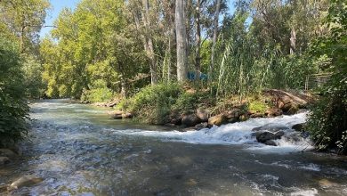 Photo of حالة الطقس: انحسار طفيف لموجة الحر