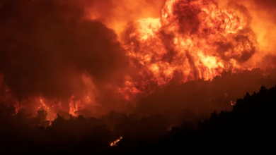 Photo of فورين أفيرز: عصر الكوارث المناخية بدأ فإما التأقلم أو الهلاك