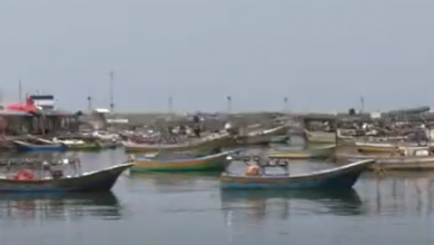 Photo of أكثر من 200 انتهاكٍ إسرائيلي بحق الصيادين بغزة منذ بدء 2023