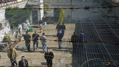 Photo of 1300 معتقل فلسطيني بسجون إسرائيل يضربون عن الطعام ليوم واحد