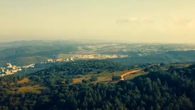 Photo of حالة الطقس: حار فوق المعدل لمثل هذا الوقت