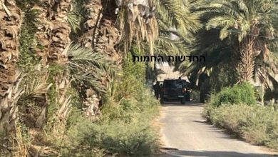 Photo of استشهاد فتى برصاص الاحتلال في الأغوار