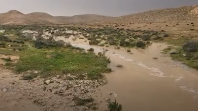 Photo of حالة الطقس: غائم جزئيا وزخات متفرقة من الأمطار