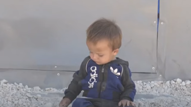 Photo of 2.6 مليون سوري على حافة الجوع والذخائر العنقودية سبب تدهور الأمن الغذائي