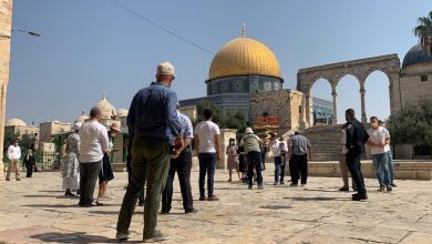 Photo of الأقصى قبيل موسم الأعياد اليهودية .. إبعاد المرابطين واقتحامات للمستوطنين