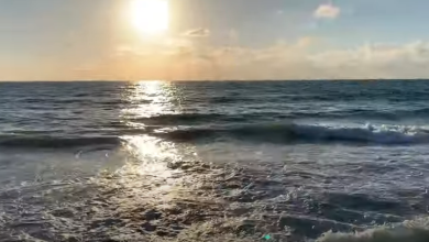 Photo of حالة الطقس: ارتفاع طفيف في درجات الحرارة