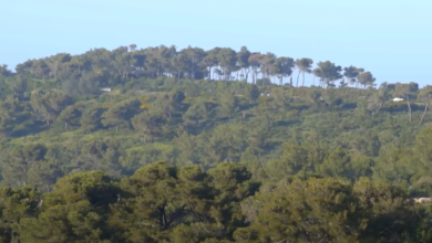 Photo of حالة الطقس: أجواء خريفية وانخفاض درجات الحرارة