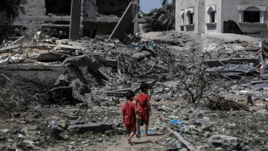 Photo of نجوم هوليوود يتضامنون مع فلسطين ضد انتهاكات الاحتلال في غزة