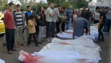 Photo of منظمة حقوقية: جرائم الاحتلال في غزة تستوجب وقفة إنسانية عالمية