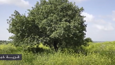 Photo of حالة الطقس: ارتفاع درجات الحرارة