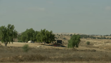 Photo of حالة الطقس: غائم جزئيا وفرصة لأمطار محلية