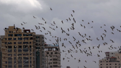 Photo of انخفاض طفيف على درجات الحرارة وكميات كبيرة من السحب في السماء