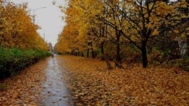 Photo of جو خريفي معتدل…حالة الطقس في البلاد