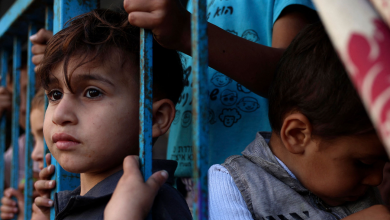 Photo of أطفال غزة في الحرب: 344 طفلًا شهيدًا خلال 24 ساعة، ووزارة الصحة تتلقى 900 بلاغًا عن أطفال مفقودين تحت الأنقاض