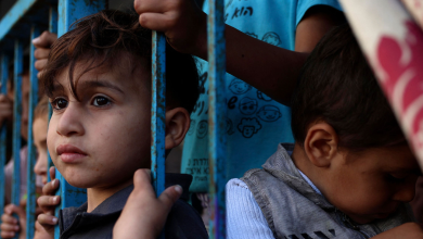 Photo of أطفال غزة في الحرب: 344 طفلًا شهيدًا خلال 24 ساعة، ووزارة الصحة تتلقى 900 بلاغًا عن أطفال مفقودين تحت الأنقاض