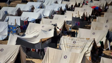 Photo of مدراس الأونروا تعمل بأربعة أضعاف طاقتها الاستيعابية