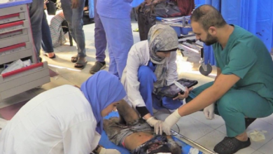 Photo of دخول مشافي غزة مرحلة الانهيار الفعلي…ساعات قليلة وحاسمة