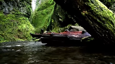 Photo of حالة الطقس: درجات الحرارة أعلى من معدلها لهذا الوقت