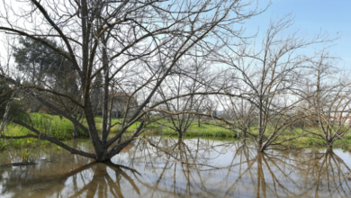 Photo of حالة الطقس: ارتفاع في درجات الحرارة