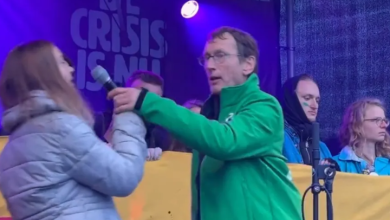 Photo of مجهول يهاجم ناشطة المناخ ثونبيرغ خلال حديثها عن فلسطين