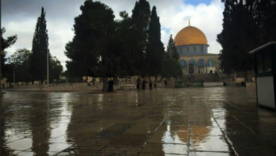 Photo of حالة الطقس: أجواء باردة وأمطار متفرقة