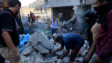 Photo of كيف يستغل سكان غزة الهدنة المؤقتة؟