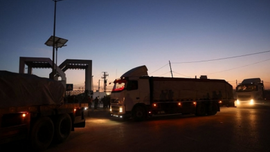 Photo of 196 شاحنة من المساعدات الإنسانية تصل إلى شمالي القطاع في أول يوم من أيام الهدنة المؤقتة
